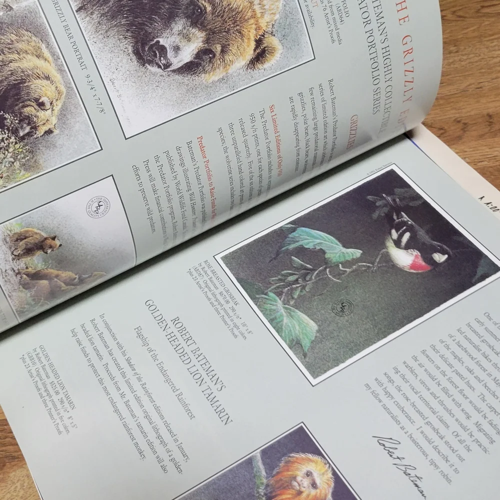 Art Magazines - Picture 4 of 9